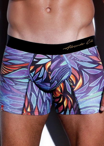 Loved-boxerkalsong-boxer-bl-tryck-Alexander-Cobb-PXC-Underwear-underklder